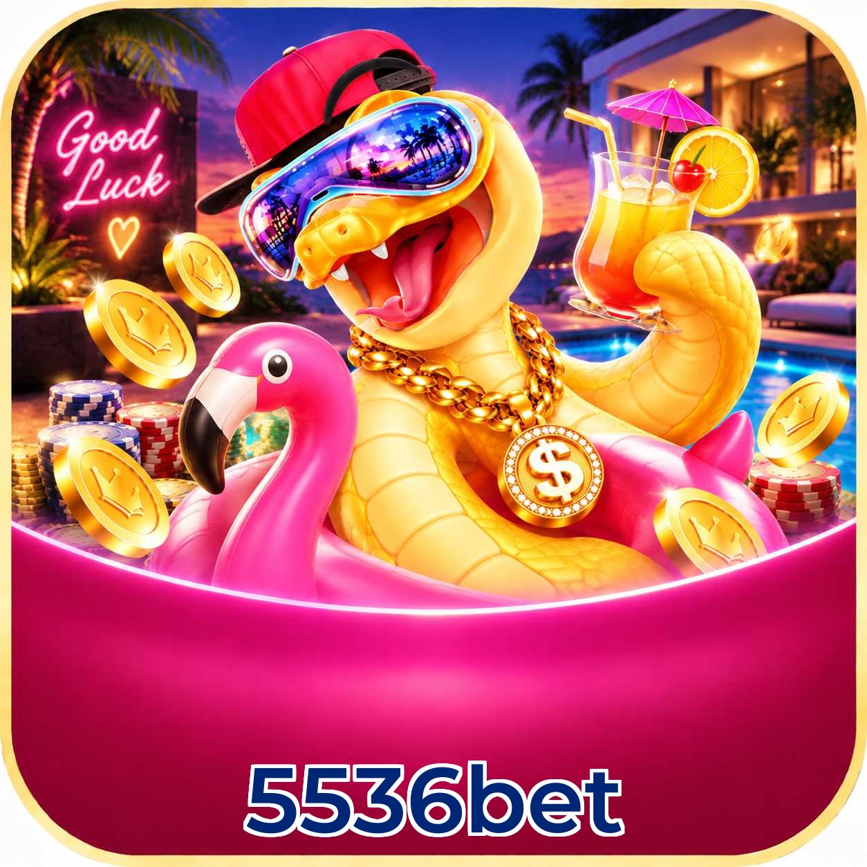 5536bet Sports Coverage